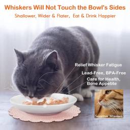 Tigela plana cerâmica anti-fadiga para gatos pequenos, pratos planos e largos para alimentação de alimentos úmidos, gatos internos - Image 4