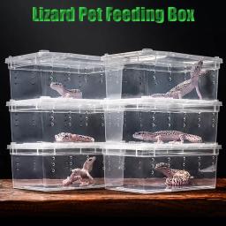 Répteis sapos e cobras reprodução gaiola, transparente, claro, anfíbio terrapin, Living House for Lizard, aranha, lagartixa - Image 1