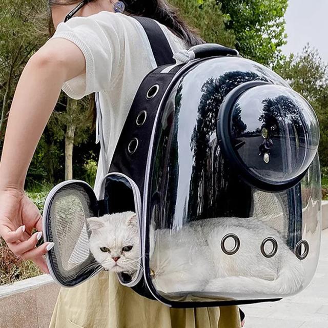 Sacos de Transporte ao Ar Livre para Animais: Mochila Respirável e Portátil para Cães e Gatos