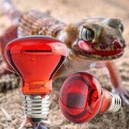 Lâmpada de aquecimento de isolamento infravermelho para répteis, aves, plantas, anfíbios, ferramentas para animais, novo, E27, 100 W, 75 W, 60W, 1 pc - Image 1