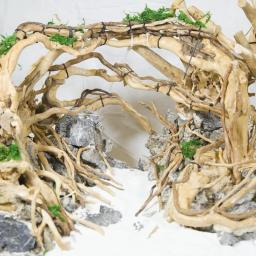 Paisagismo De Madeira Decoração Do Aquário, ornamento Do Tanque De Peixes, Fundo Do Tanque, Raiz De Cuco, Tenda De Plantas, Tronco Natural, 1 pc - Image 4