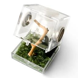 Caixa de alimentação transparente para répteis, terrário para lagarto, recipiente reprodutores para sapo-aranha e escorpião, terrário vivo, 1pc - Image 3