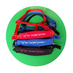 Novo halter equestre anti-desgaste ajustável cavalo halter bridle cabeça colar cinta gaiola de cavalo capa equipamento equestre - Image 5
