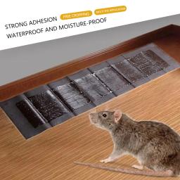 Placa de mouse pegajosa super forte, não tóxica, armadilhas de cola para ratos, coletor de ratos, controle de pragas, armadilha assassina de mouse doméstica - Image 2