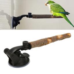 Suporte de madeira do pássaro com ventosas, Pássaro em pé vara, Evitar o deslizamento, Interativo, Perch Window, Pequeno e médio - Image 1