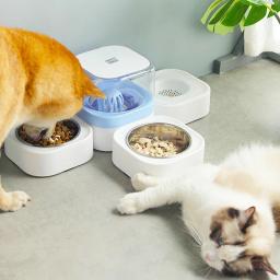 Kimpets Multi Bowl para cão e gato, Grande capacidade para água potável e alimentação, seco e molhado, Pet Shop - Image 1