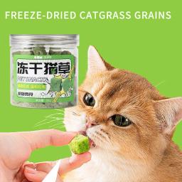 Catgrass Grain Freezedried Cat Snack, peludo Hairball Peças, biscoitos comprimidos, moer os dentes - Image 5