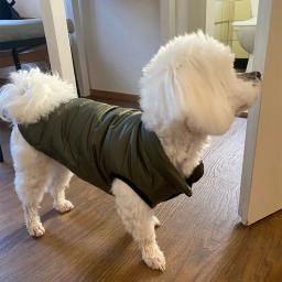 Casaco de colete quente, roupa de cachorro buldogue francês, roupas chihuahua para cães pequenos e médios, casaco de gato, pug, yorkie, outono, inverno - Image 3