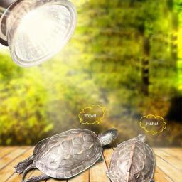 Réptil Lâmpada Lâmpada, Uvb 3.0, Turtle Basking, Uv Lâmpadas, Lâmpada de aquecimento, Anfíbios, Lagartos, Controlador de temperatura, Drop Shipping - Image 2