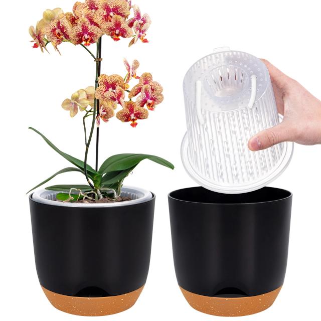 Vaso de Orquídea Auto Irrigável com 2 Unidades - Circulação de Ar Otimizada