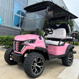 Barbie Rosa Carrinho de Golfe Elétrico, 4 Assentos, Caça, Buggy para Famílias, Atividades ao Ar Livre, 48V - Image 2