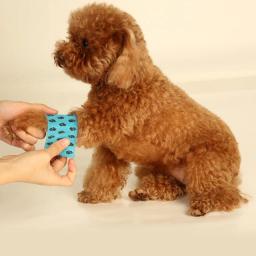 Fita adesiva autoadesiva para bandagem, desenho flexível para animais estimação, primeiros socorros impressos 5cm 4,5m - Image 2