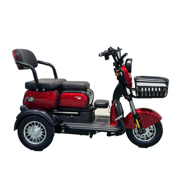 Triciclo Elétrico Fat Tire 750W 20 Polegadas Adulto 3 Rodas