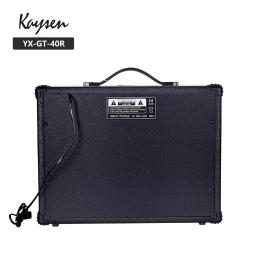 Amplificador De Guitarra Acústica, Instrumento De Música, OEM, China, Microfone 40W - Image 4