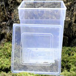 Caixa de alimentação transparente réptil, lagarto, tarântula, terrário de criação, gaiola para incubação, pet house para tartaruga pequena cobra - Image 4