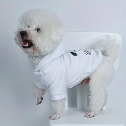 Roupas impressas em veludo confortáveis para animais, moletons quentes para cães e gatos, simples e trela - Image 4