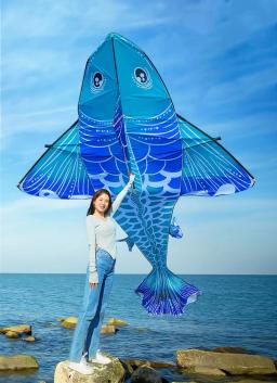 Pipas gigantes para adultos, pipas de vento profissionais, feitos de tecido, brinquedos voadores ao ar livre, peixes koi, frete grátis, novo - Image 2