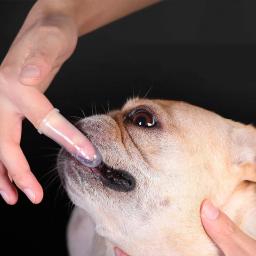 Escova de dentes super macia para animais de estimação, Escova de dedo para todos os animais, Cuidado bucal para gato - Image 3