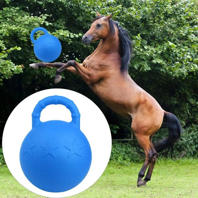 Bola de Borracha para Cães e Cavalos 25cm - Brinquedo de Agilidade e Treinamento