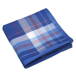 3 pçs 43x43cm 100% algodão clássico xadrez impresso lenços masculinos suor rosto toalhas bolso quadrados para ternos - Image 3