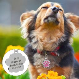 Personalized Paw Print Name Tag para animais de estimação, nome gravado, pingente de brilho, acessórios para animais, cachorro, gato, cachorro - Image 4