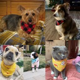 Bandana de triângulo de algodão macio ajustável para animais de estimação, padrão bonito, chihuahua lenço, cachecol de cachorro, toalha de saliva - Image 2