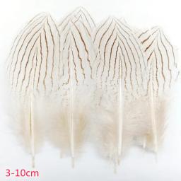 Pena De Faisão Natural Para Decoração De Casamento, Avestruz E Turquia Plume, Acessórios De Natal, Mesa DIY Centere, Artesanato, 20-500Pcs - Image 4