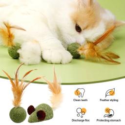 Menta comestível Catnip Ball para Pet, Hortelã Gato Saudável Jogo de Perseguição Doméstica, Produtos de brinquedo Suprimentos de limpeza de dentes - Image 1