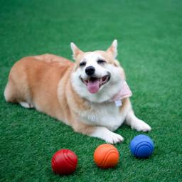 Bola sólida de borracha insuflável para cães, resistência ao cão, mastigar brinquedos, ao ar livre, recuperação, treinamento, suprimentos para animais, 1pc - Image 4
