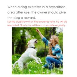Pet Toilet Training Spray Inducer, Dog Props, Cat Potty, Ferramenta de treinamento para cachorro, suprimentos, 30ml - Image 4