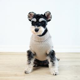 Suéteres de gola alta quente para animais de estimação, cães pequenos e médios, roupas de gatos, colete chihuahua, casaco yorkie macio - Image 3