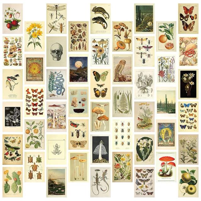 Kit de Colagem de Parede Vintage - 50 Posteres Artísticos Botânicos Cottagecore (4x6 Polegadas) para Decorar sua Foto Parede na Moda