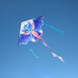 Dragon Kites Flying Toys para Crianças, Professional Wind Kite, Jogos ao ar livre, Brinquedos Esportivos, Flying Bird Koi, Frete Grátis - Image 6