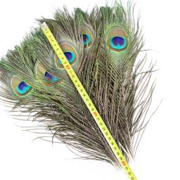 Atacado 10 pçs/lote penas de pavão naturais para artesanato jóias fazendo casa vaso festa de casamento mesa plumagem decoração 25-30cm - Image 5