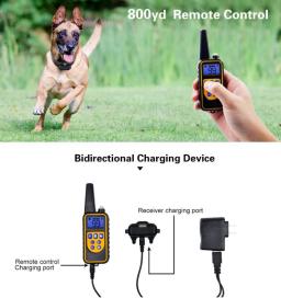 Dog Training Collar elétrico com vibração de choque, Pet impermeável, controle remoto, recarregável, 800m - Image 3
