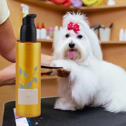 Óleo Essencial Do Cão Conveniente Cabelo Longo Perfumado Óleo De Viagem Uso - Image 1