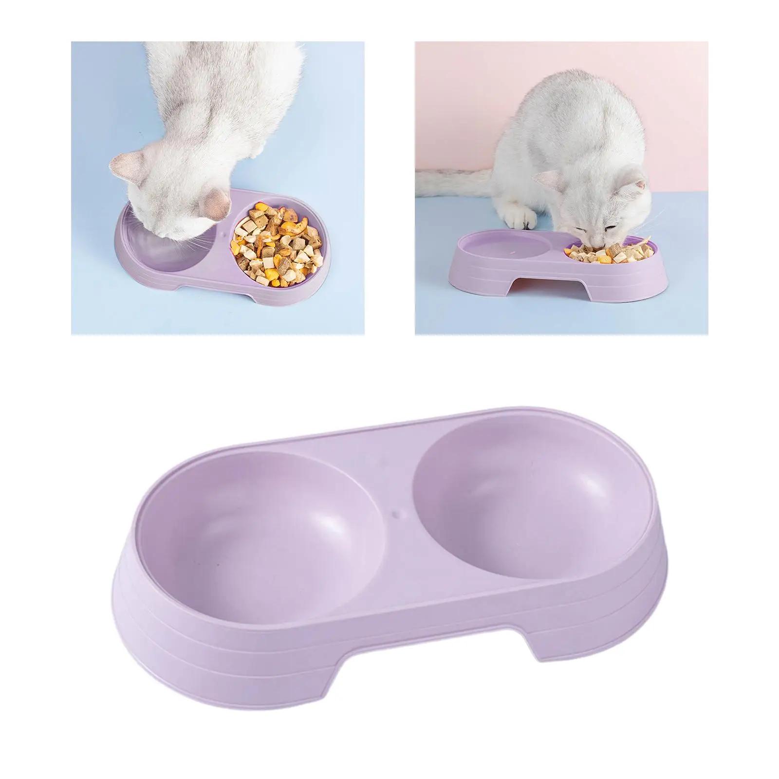 Premium duplo gato tigelas alimentador para animais de estimação suprimentos dispensador de alimentos pratos de alimentação para cães pequenos gatinho filhote de cachorro interior gatos suprimentos - Image 1