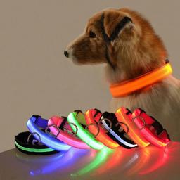 Anti-Lost LED Light Collar for Dogs, Luminoso noturno, Pet Products, Carregamento USB, Bateria, Puppies Supplies, Pet Acessórios - Image 2