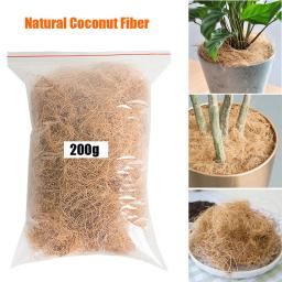 200g natural casca de coco fibra flowerpot capa artesanato à prova de insetos proteger flor planta solo manter quente réptil cama ninho de pássaro - Image 1