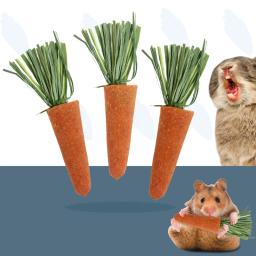 Pequeno Animal Mastigar Cenouras Snack, Nutritivo Natural Molar Brinquedos, Hamster, Coelho, Coelho, Guiné, Turquia, Porcos, Pet Supplies, 3Pcs por Saco - Image 6