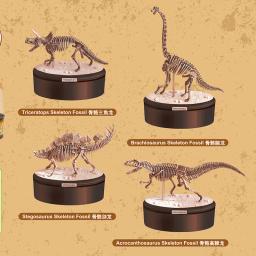 Dinossauro fóssil kits de brinquedo arqueológico jurássico mundo dinossauro esqueleto modelo ciência educacional simulação dinossauro, presente - Image 2