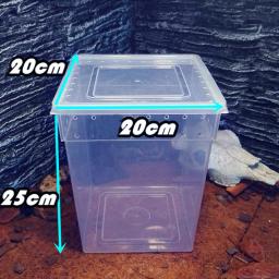 Caixa de alimentação transparente réptil, lagarto, tarântula, terrário de criação, gaiola para incubação, pet house para tartaruga pequena cobra - Image 3