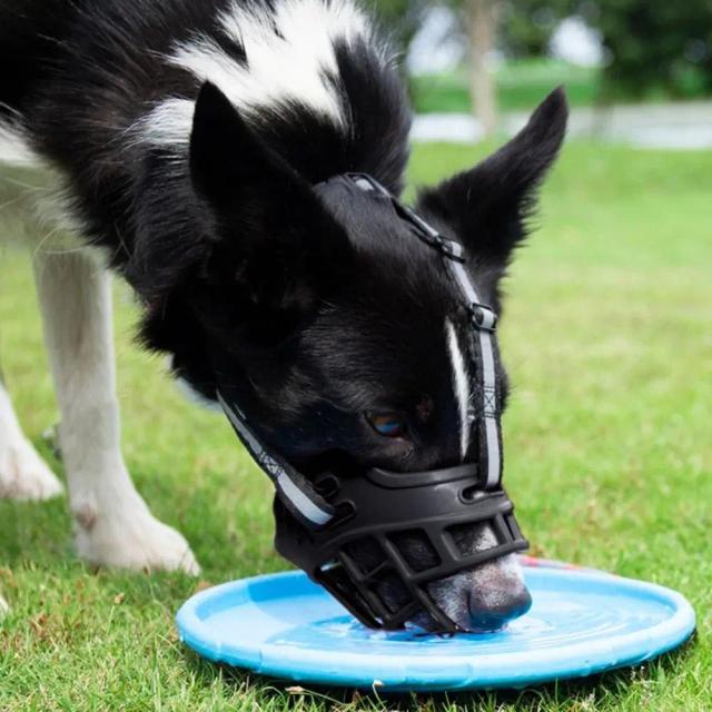 Focinho de Cão Ajustável com Tira Reflexiva e Capa Anti-Mordida em Plástico Respirável e à Prova d'Água