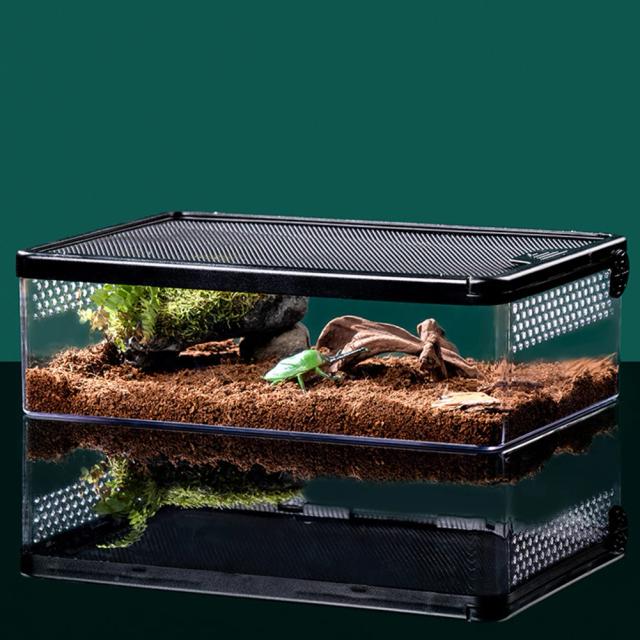 Tanque de vidro para dragões barbudos e anfíbios com vista completa e design atraente para terrário
