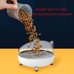 Tigelas elevadas para gatos, prato inclinado, tigela alimentação para animais estimação com suporte para gatos - Image 4