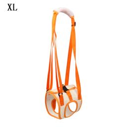 Ajustável cão levantar arnês para pernas traseiras, Pet suporte Sling, ajuda pernas fracas, Stand Up Dogs Aid, ferramenta de assistência, Novo, 2022 - Image 3