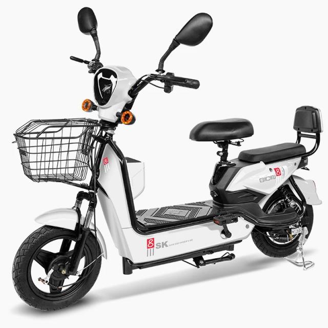 Bicicleta Elétrica 48V 350W - Potência e Liberdade para Sua Mobilidade