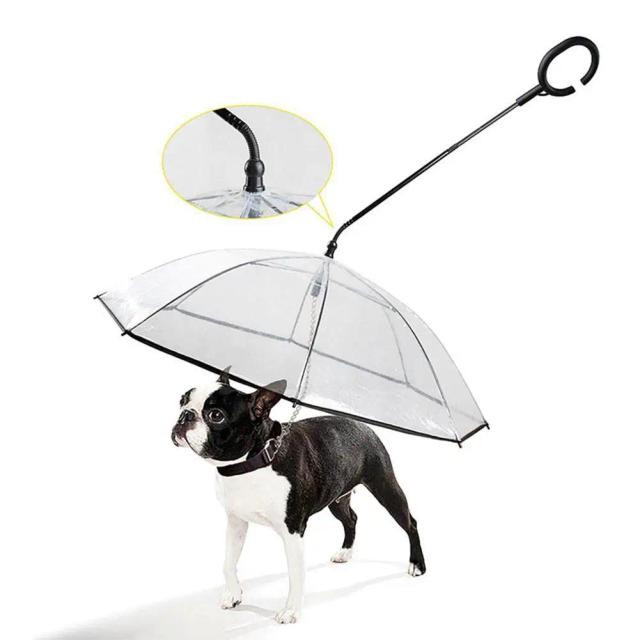 Guarda-chuva transparente ajustável para cães com trela integrada – produtos inovadores para pets