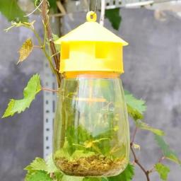 Fruta Mosca Armadilha com Quatro Buracos, Abelha Armadilha Lure, apanhadores de melão, Jardinagem Suprimentos, 1PC - Image 3