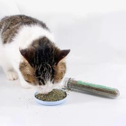 Catnip em pó para gatos suprimentos para animais de estimação gatos trata catnip para gatinho feliz - Image 2